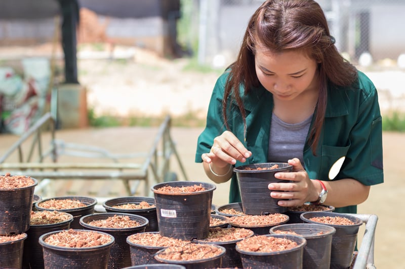 student is checking a quality of soil student is checking a quality of soil
